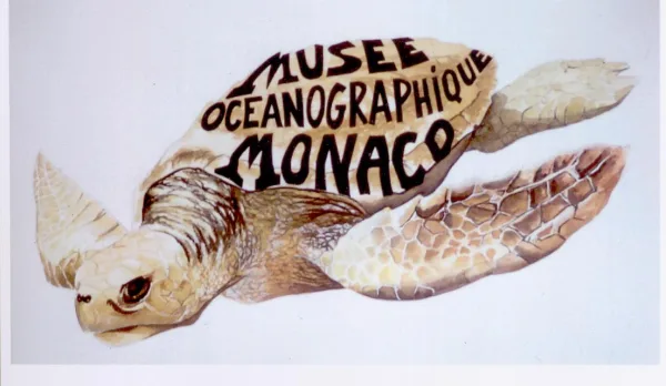 La tortue Musée Océanographique de Monaco.