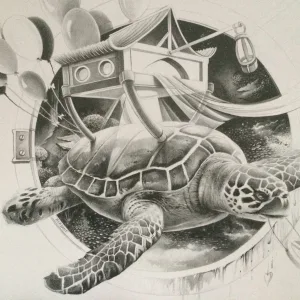 Tortue Maison, noir & blanc  dessin crayons par Thierry Mordant  50 x 70 cm - 2017