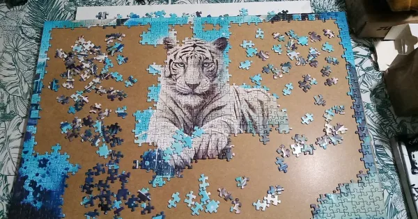 Tigre Blanc de Sagesse - Puzzle, détails.