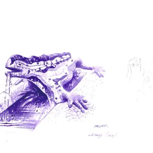 Planche Salamandre de Gaudi, 21 x 29,7 cm.