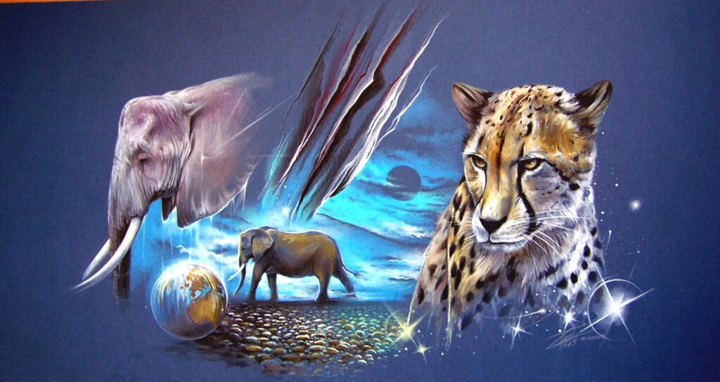 Monde Sensible — Drawing Colors — 2005 — 40x80cm par Thierry Mordant