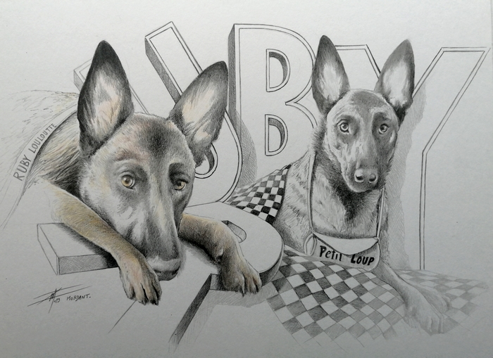 Ruby Petit Loup — Colored pencils — 2023 — Undefined format — by Thierry Mordant