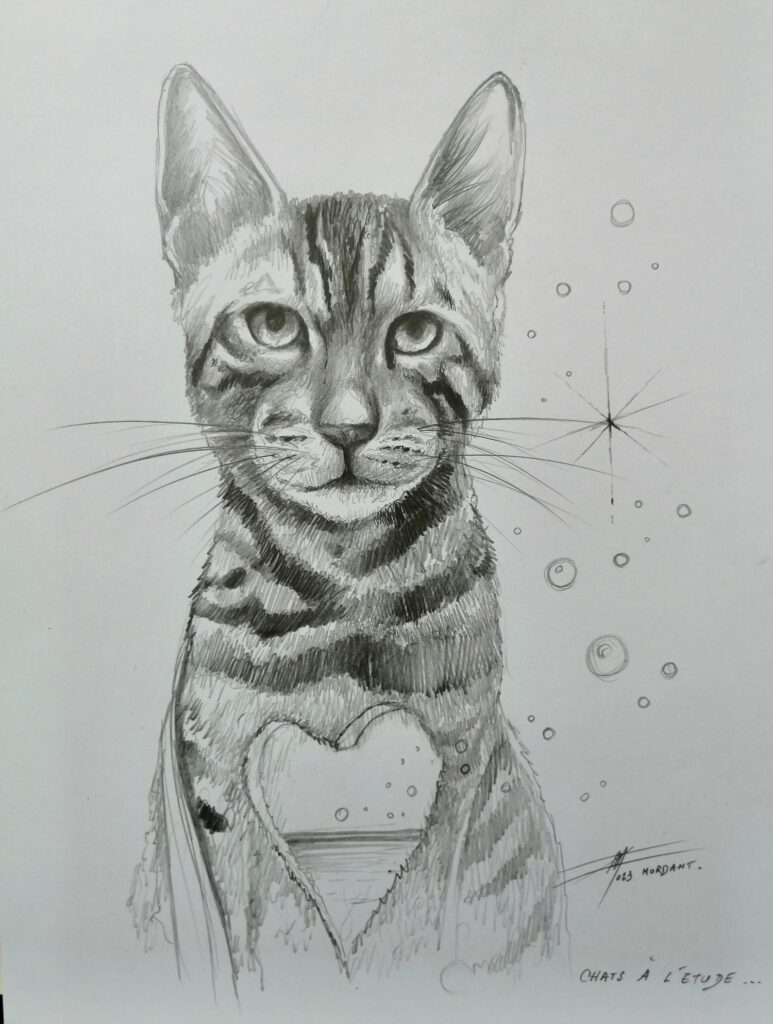 Chat croquis 10 — Black & White pencils — 2023 — Undefined format — by Thierry Mordant