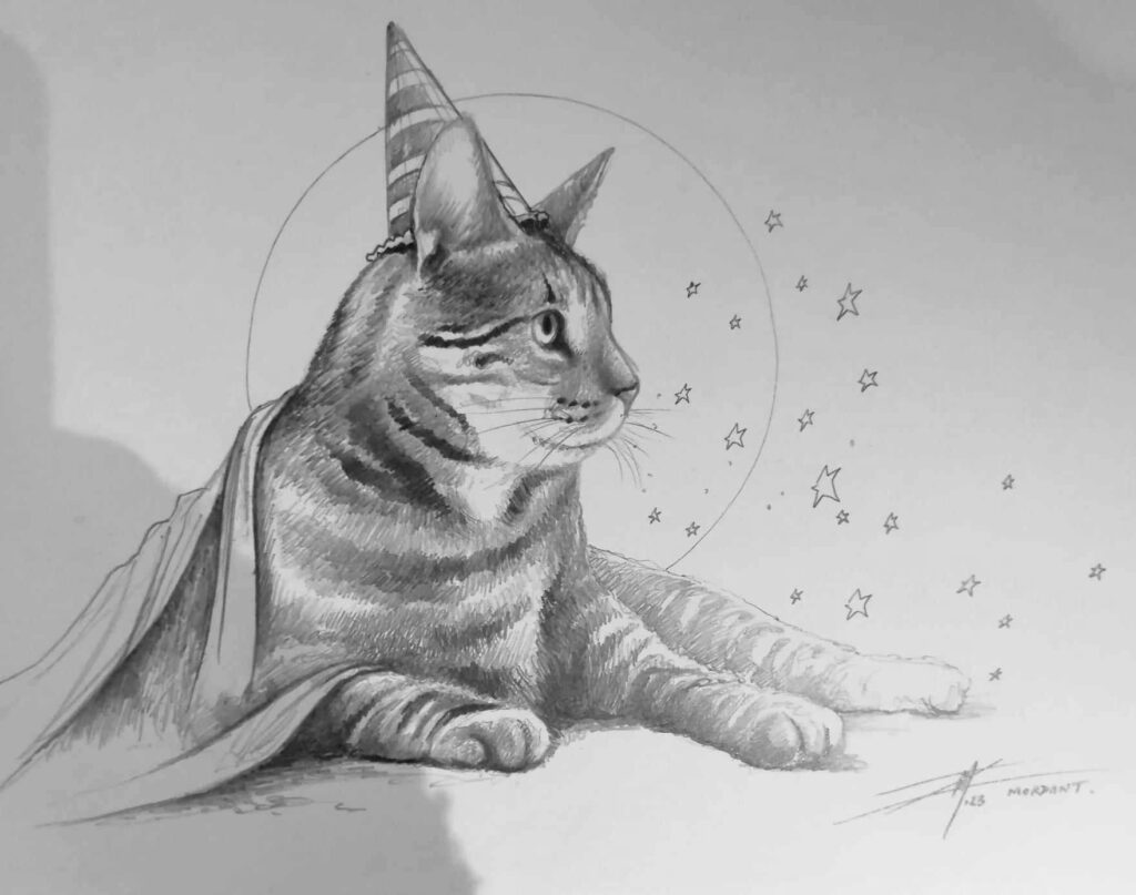 Chat croquis 7 — Black & White pencils — 2023 — Undefined pencils — by Thierry Mordant