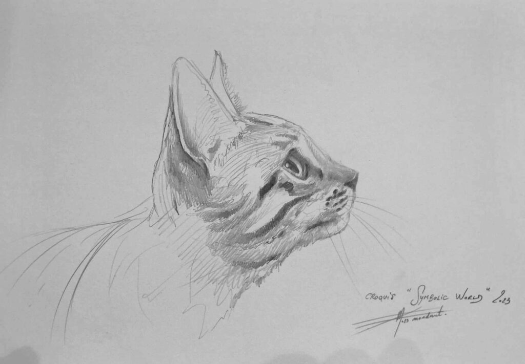 Chat croquis 8 — Black & White pencils — 2023 — Undefined pencils — by Thierry Mordant