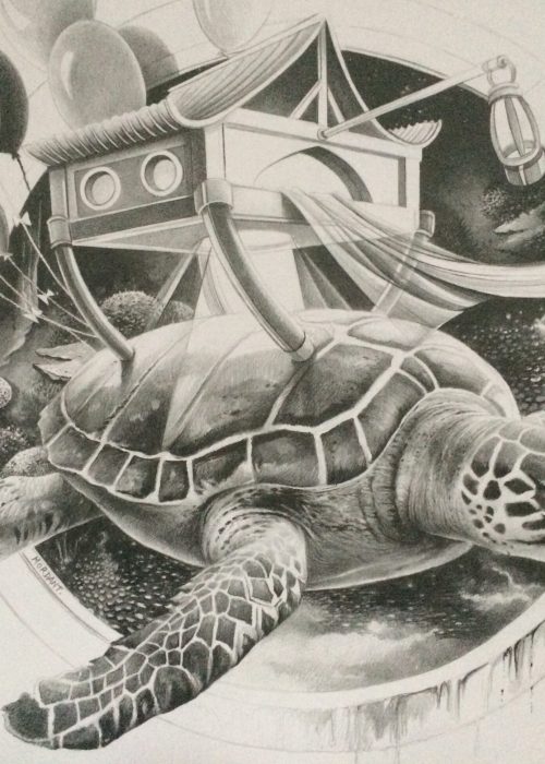 Tortue Maison, noir & blanc  dessin crayons par Thierry Mordant  50 x 70 cm - 2017